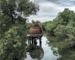 The area features Sungei Buloh Wetland Reserve where you can have a look at the flora and fauna in mangrove forest. The place is also known for over 1
